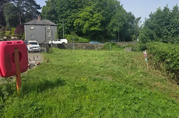 Vegetation clearance picture